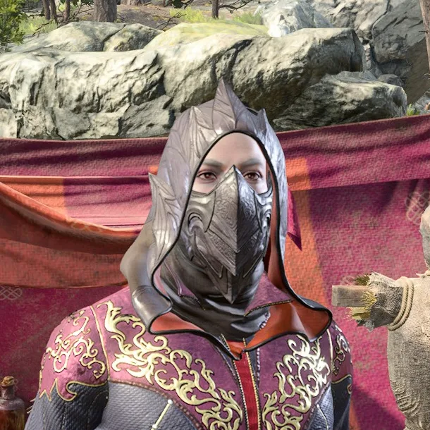 The Covert Cowl worn in Baldur's Gate 3, a silver hood with a pointed crest and a metal mask over the nose and mouth, above a red and gold patterned robe.
