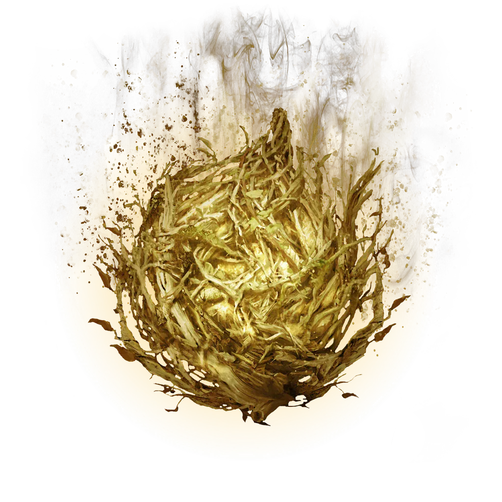 A Golden Seed, which permanently increases the number of Flask charges you carry. Limgrave alone holds several.