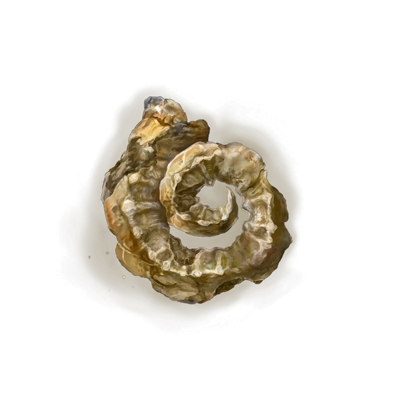The Golden Horn Tender consumable icon from Shadow of the Erdtree, which boosts rune acquisition by 40 percent for 180 seconds.