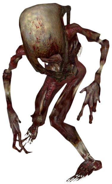 A Fast Zombie, stripped of skin down to muscle and bone, the fastest and most agile zombie variant in Half-Life 2.