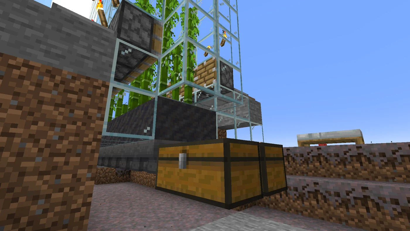 An automated Minecraft bamboo farm with rows of bamboo stalks, observers watching the growth column, and pistons ready to break the stalks.