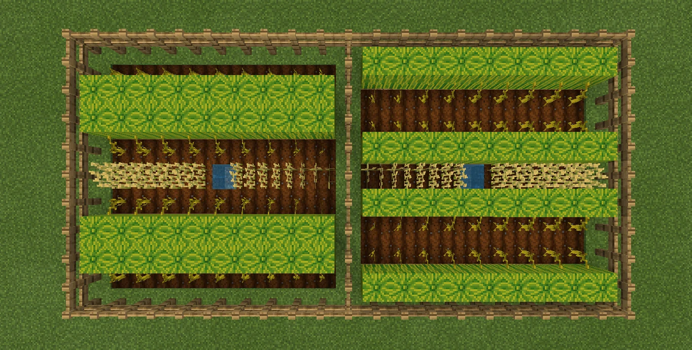A Minecraft melon farm with melon blocks grown beside their stems on tilled farmland