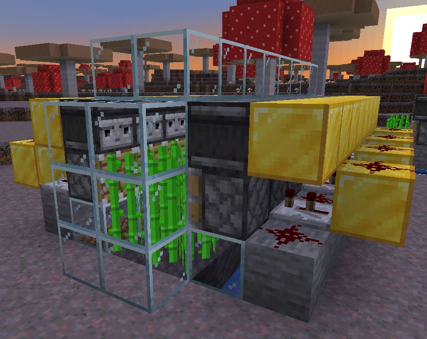An observer-based Minecraft sugar cane harvester with observers stacked beside the cane and pistons ready to break it