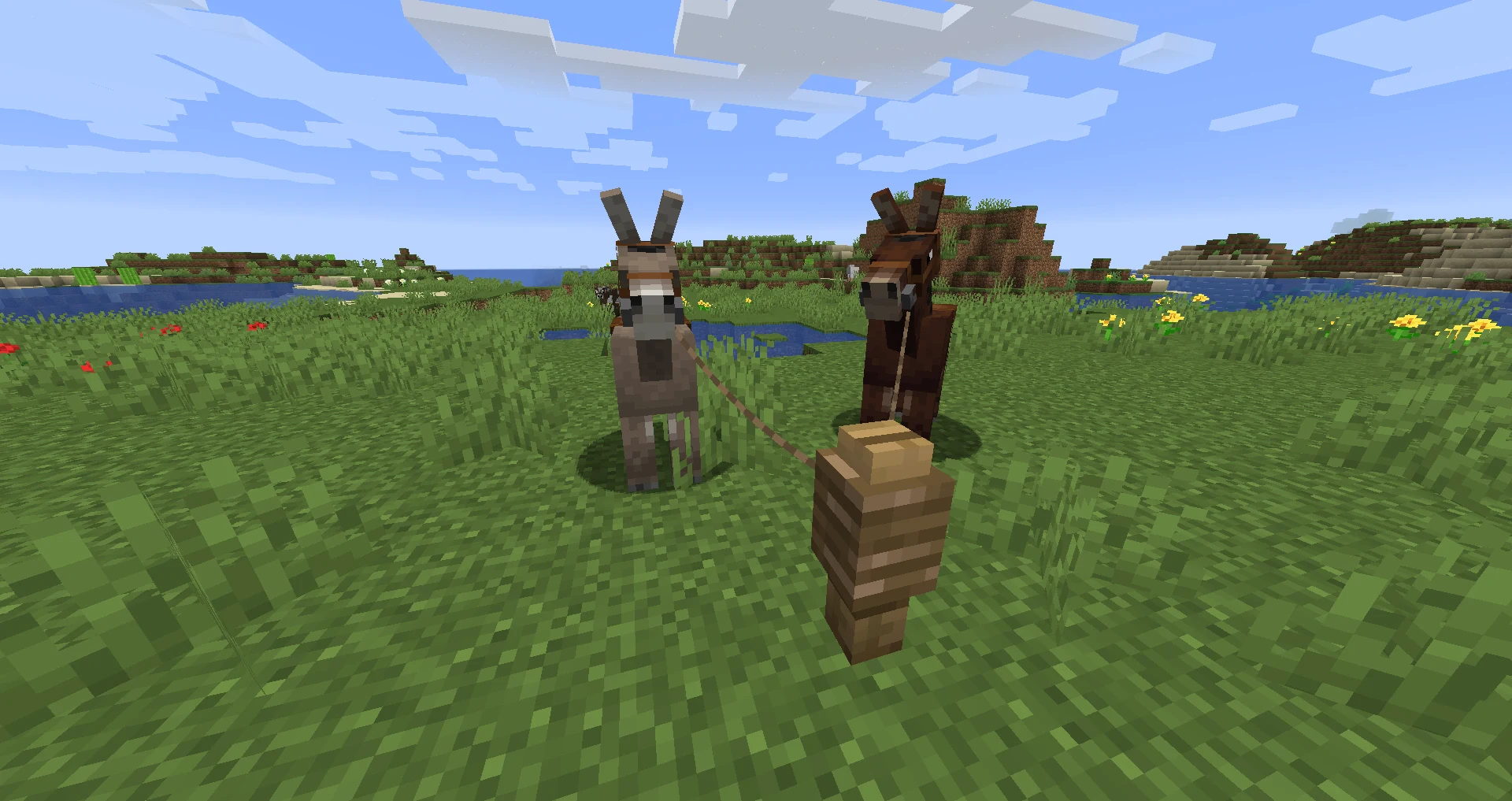 A Minecraft donkey beside a mule — both can wear a chest for 15 slots of storage but neither can equip horse armor.