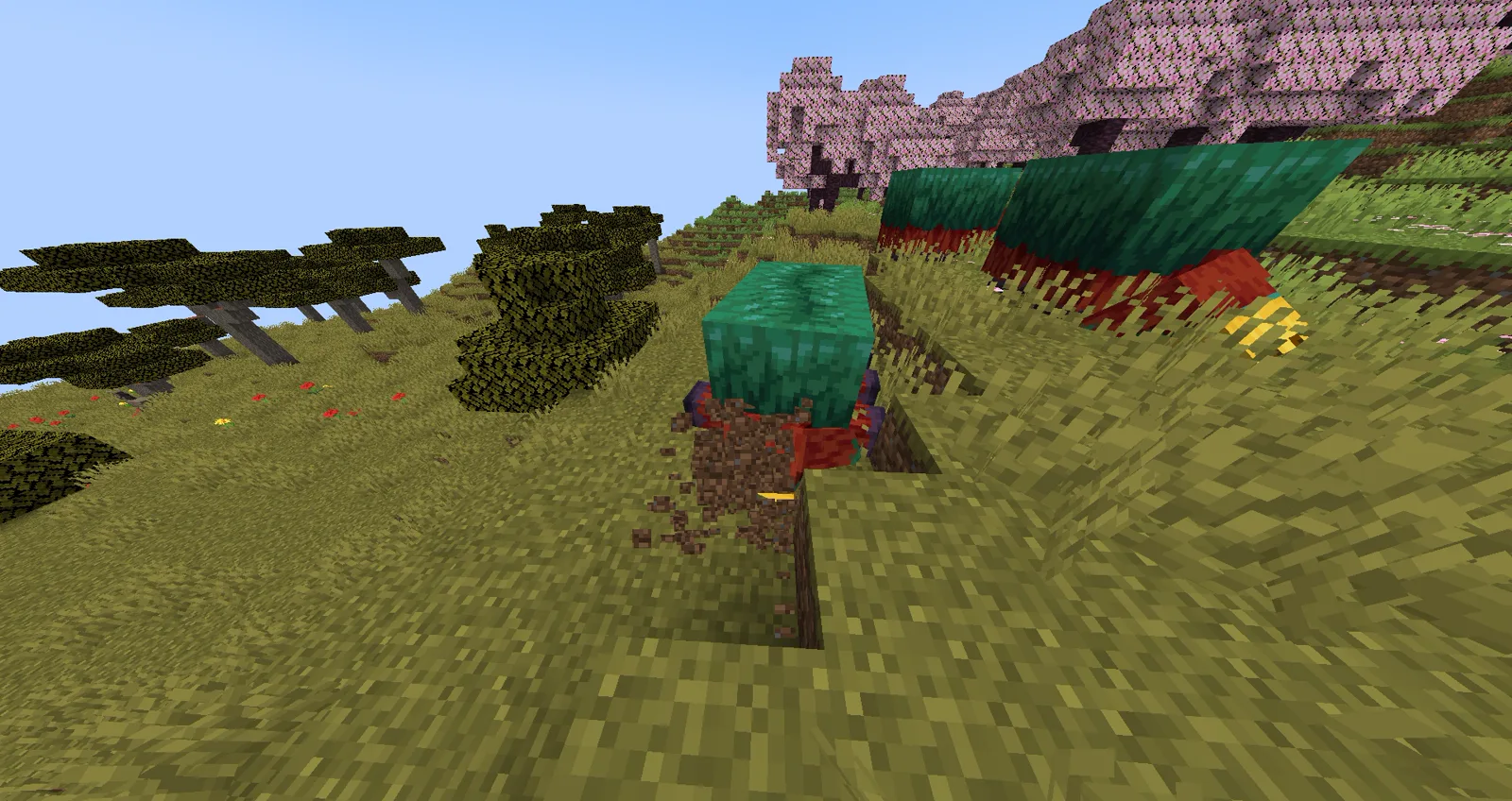 A red and green Minecraft sniffer splooting on the ground and digging into grass with its nose, searching for ancient seeds.