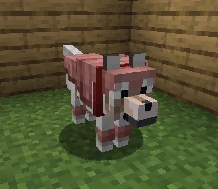 A tamed Minecraft wolf wearing wolf armor crafted from armadillo scutes — the armor absorbs damage for the wolf until it breaks.