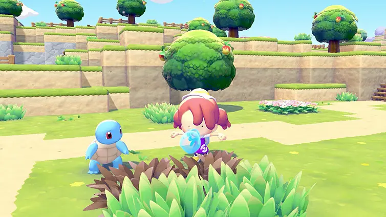 Ditto using Water Gun in Squirtle form, the first transformation and the most-used skill in the game.
