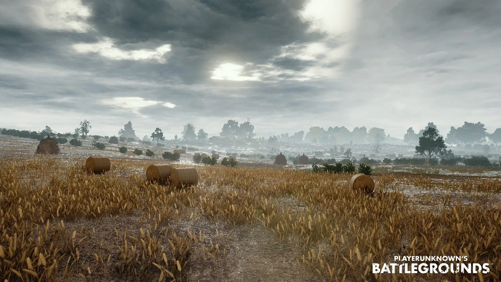 A misty wheat field on Erangel with hay bales — plush concealment against anyone nearby, but at long range the engine stops drawing ground cover and a prone player here is lying on bare dirt.