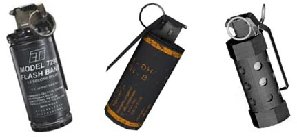 The stun grenade — it deals no damage but blinds and deafens anyone looking at the flash, the room-clearing partner to the frag.