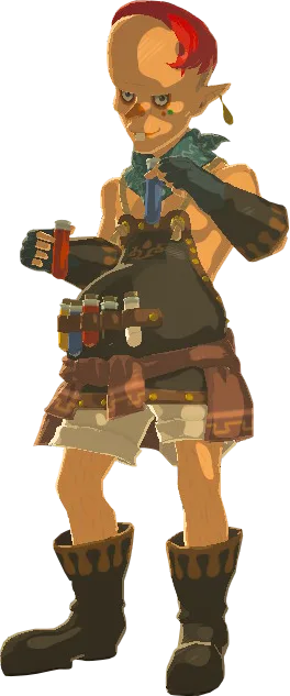 Sayge, the dyer who runs the Kochi Dye Shop in Hateno Village, warns Link before dyeing anything that cannot actually take a dye.