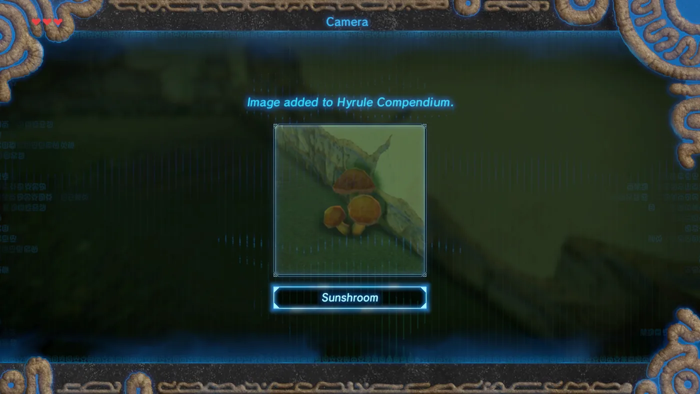 The Breath of the Wild camera screen reading “Image added to Hyrule Compendium” over a photograph of a sunshroom, the registration that starts the Sunshroom Sensing side quest.